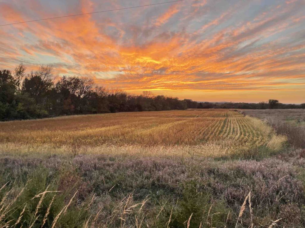 Sunset over a field on private land
