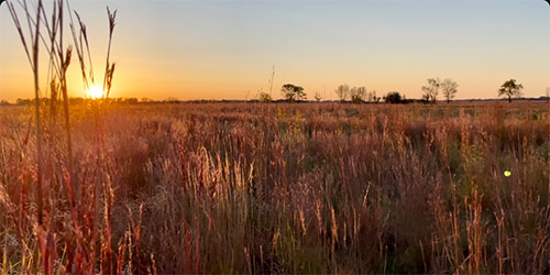 Field at Sunset on private land