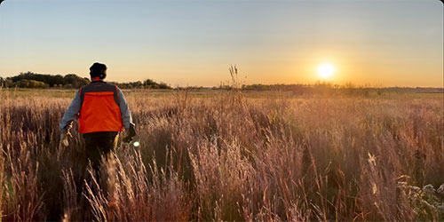 Man in Field Hunting on private land