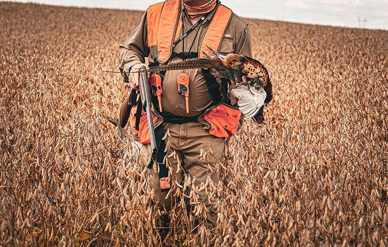 hunter in field with pheasant