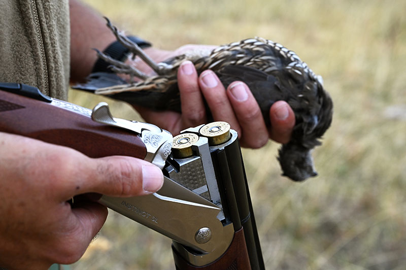 pheasant hunting gear gun with bird