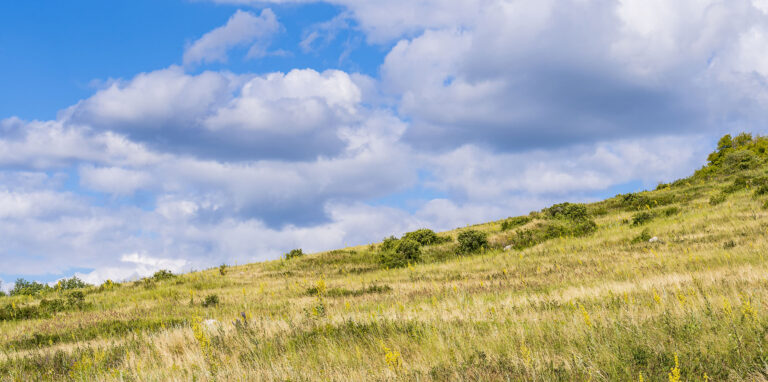 hunting green meadow in nebraska