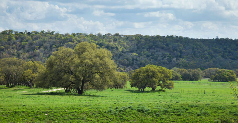 hunting in trees fields and hills in the texas hill country