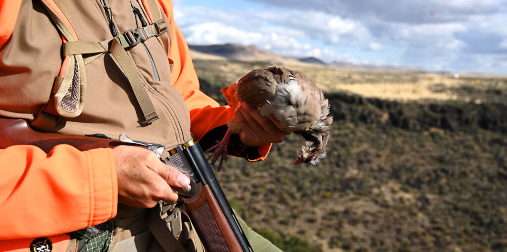 Chukar Hunting private land hunter and bird