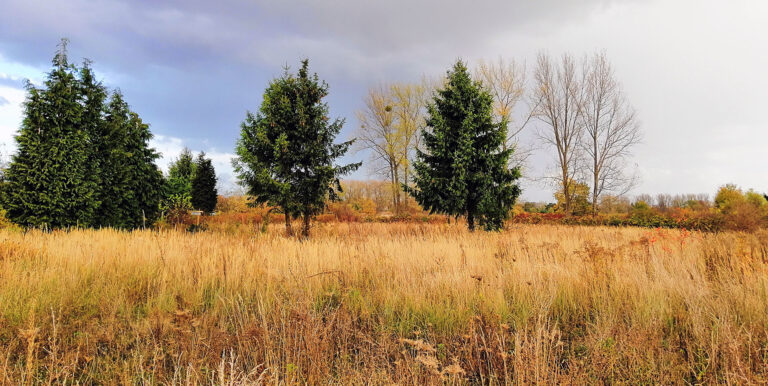 illinois field hunting private land