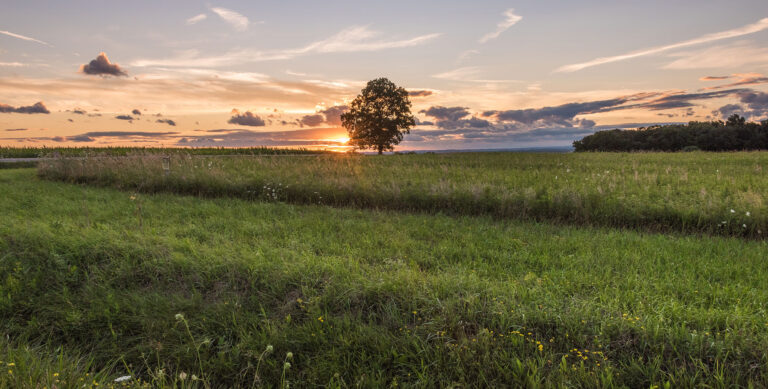 new york state field hunting private land