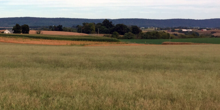 Maryland hunting private land