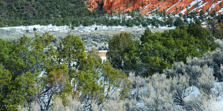 Utah private hunting land