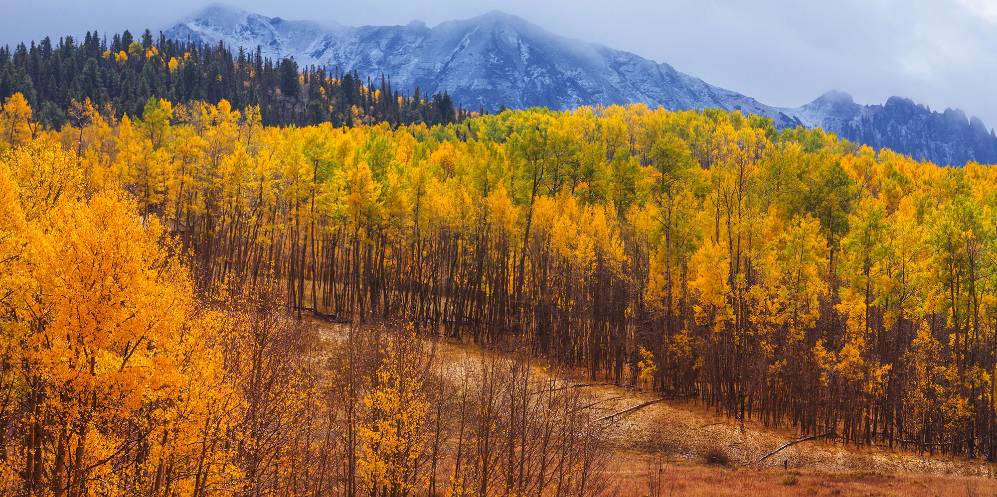 Colorado Hunting Seasons 2022 2023 Interactive List