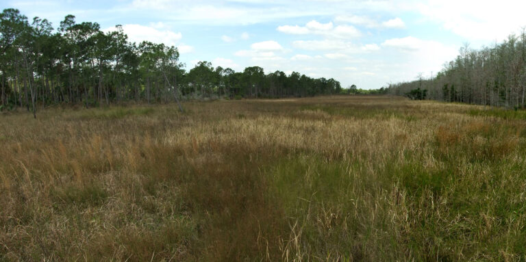 florida field hunting private land