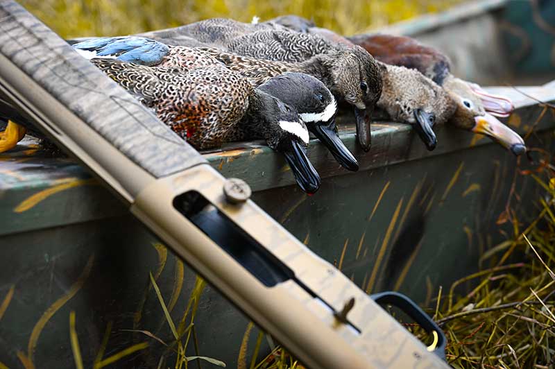 Duck Hunting What To Know Before You Go Wing It