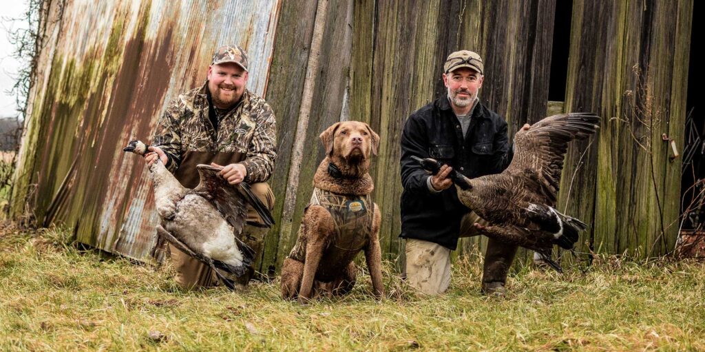 goose hunting 2 hunters dog