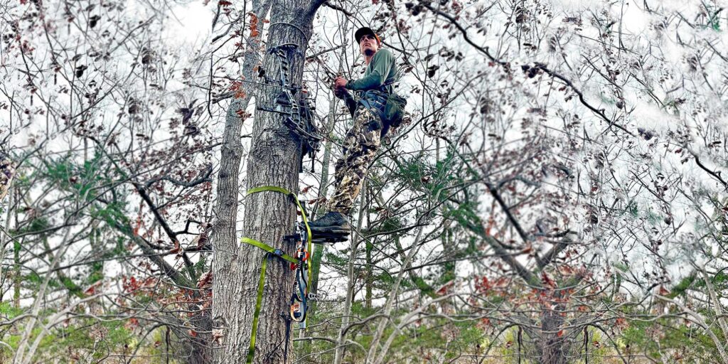 saddle hunting trees