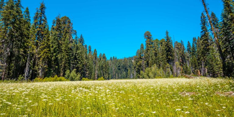 california private land hunting