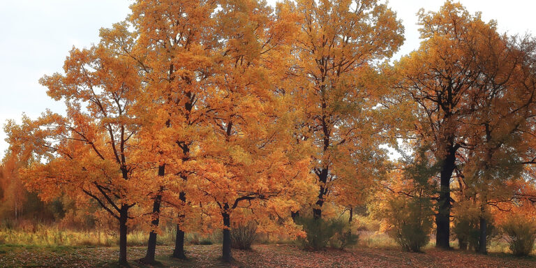 hunting in massachusetts