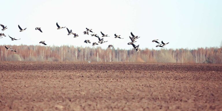 hunting in ohio