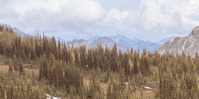 hunting in washington state