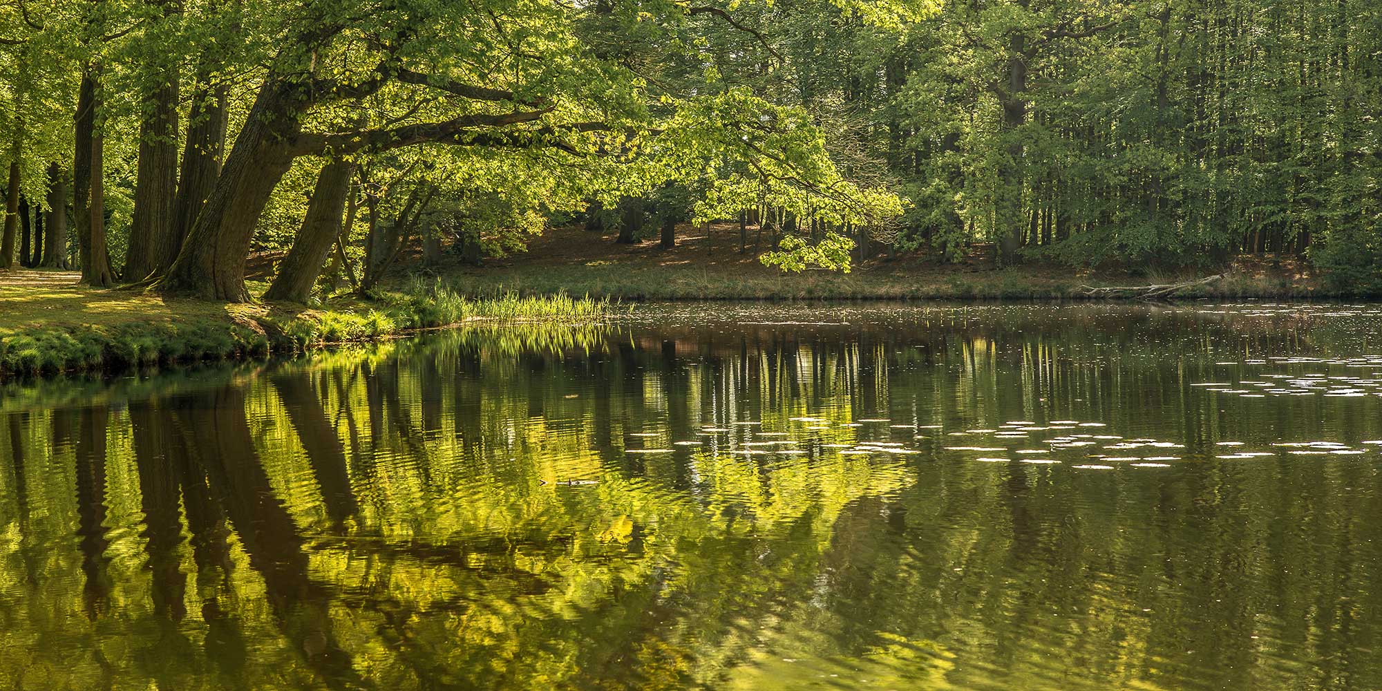 Freshwater Fishing In California - Best Public & Private Land | Wing It