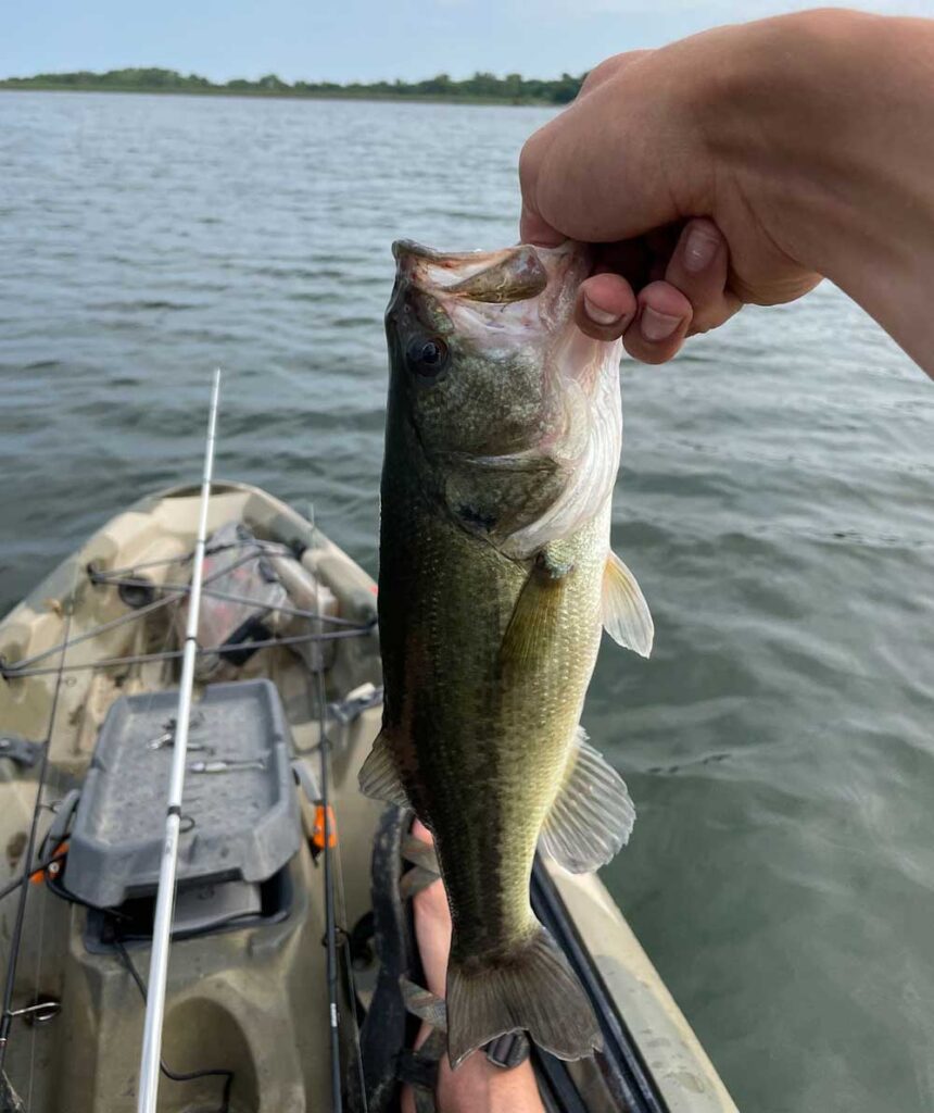 fall bass fishing