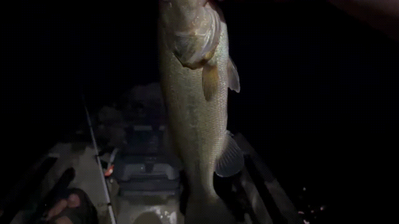 Bass fishing at night in boat